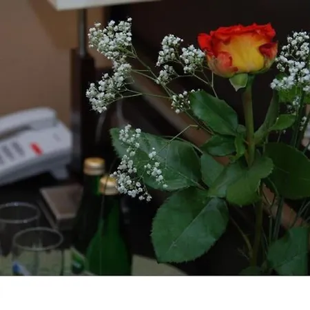 Topaz Centrum Hotell Poznań