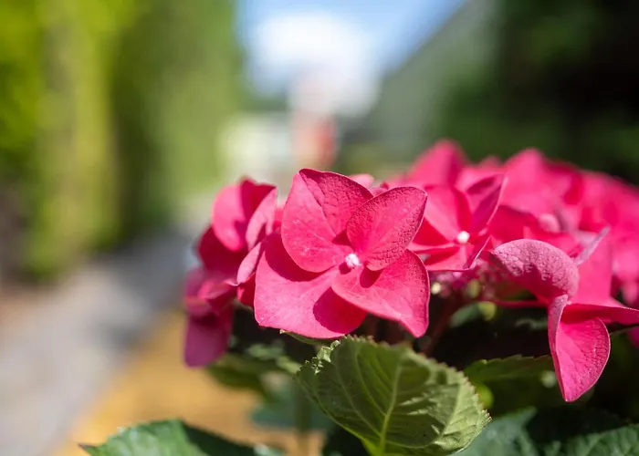 Topaz Centrum Отель